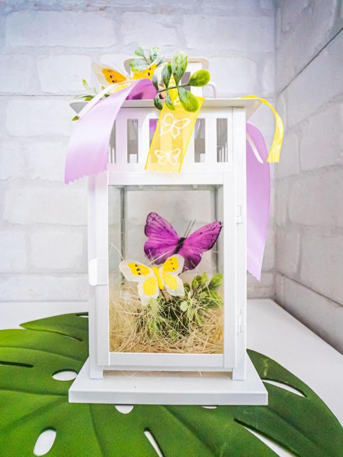 Mariposa En Frontera/Primavera 코스타델실렌시오 외부 사진